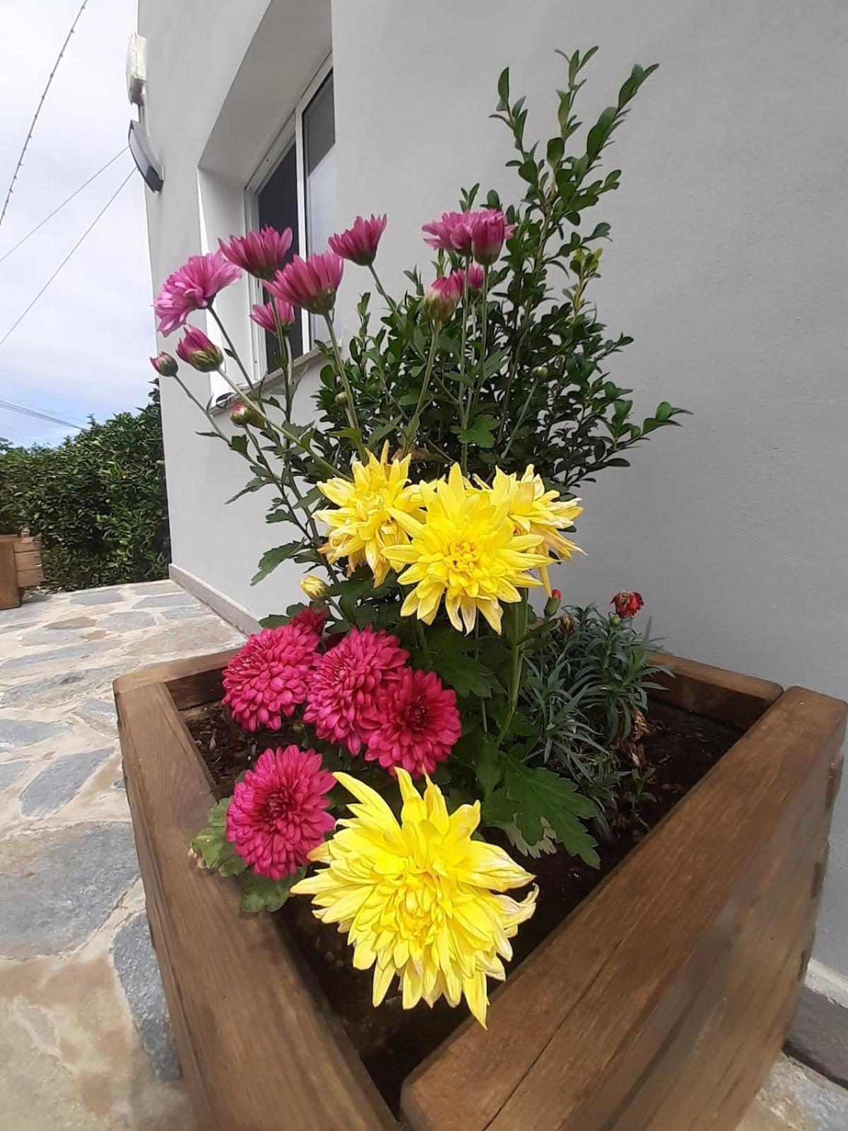 De Luna Holiday home *